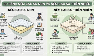 So Sánh Nệm Cao Su Non Và Nệm Cao Su Thiên Nhiên – Nên Chọn Loại Nào Tốt Hơn?
