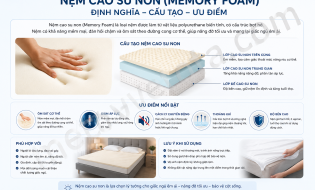 Nệm cao su non là gì? Vì sao nệm cao su non là lựa chọn hàng đầu của mọi gia đình Việt?