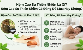 Nệm cao su thiên nhiên là gì? Nệm cao su thiên nhiên có đáng để mua hay không?