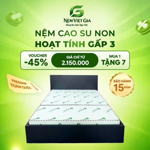 NỆM CAO SU NON HOẠT TÍNH GẤP 3