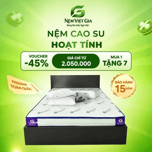 NỆM CAO SU NON HOẠT TÍNH VIỆT GIA